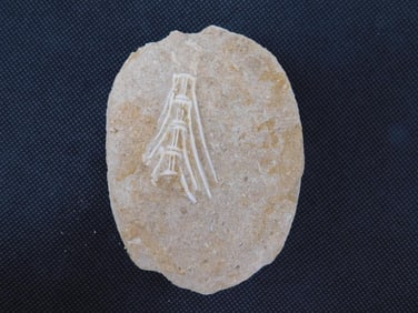 FOSSIL BONE IN MATRIX ROCK STONE LAPIDARY SPECIMEN