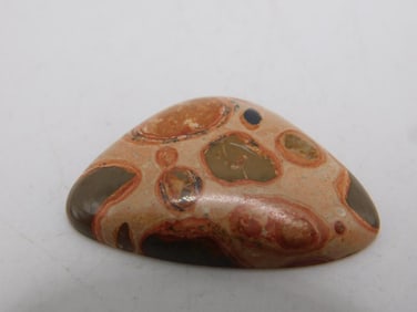 FOSSIL STONE CABOCHON ROCK STONE LAPIDARY SPECIMEN
