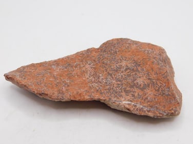 STARBURST JASPER ROCK STONE LAPIDARY SPECIMEN