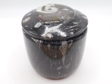 ORTHOCERAS TRINKET BOX ROCK STONE LAPIDARY SPECIMEN