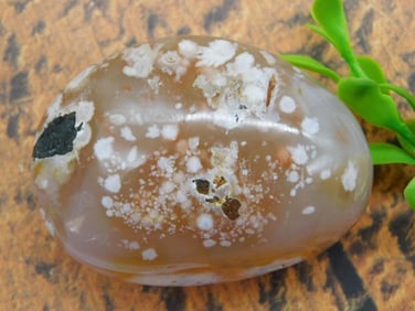 HATMANS FLOWER PETAL AGATE ROCK STONE LAPIDARY SPECIMEN