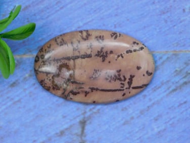 COFFEE BEAN JASPER CABOCHON ROCK STONE LAPIDARY SPECIMEN