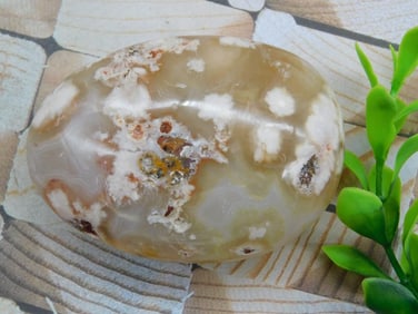 HATMANS FLOWER PETAL AGATE ROCK STONE LAPIDARY SPECIMEN