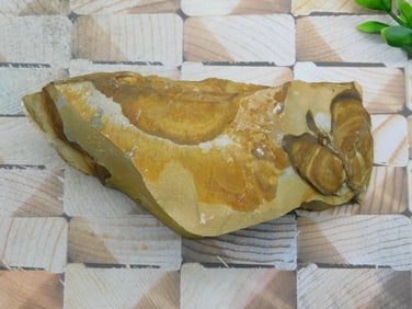 JASPER ROCK STONE LAPIDARY SPECIMEN