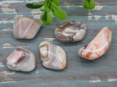 BOTSWANA AGATE ROCK STONE LAPIDARY SPECIMEN