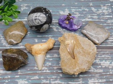 MIXED LOT ROCK STONE LAPIDARY SPECIMEN