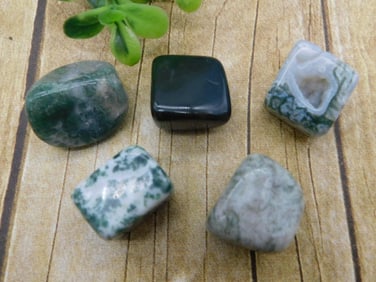 TREE AGATE ROCK STONE LAPIDARY SPECIMEN