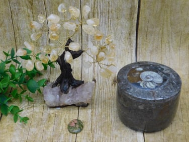 MIXED LOT ROCK STONE LAPIDARY SPECIMEN