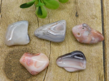 PEACH BOTSWANA AGATE ROCK STONE LAPIDARY SPECIMEN