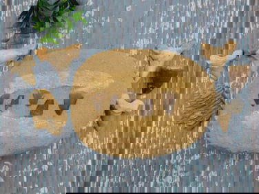 MIXED FOSSIL LOT ROCK STONE LAPIDARY SPECIMEN