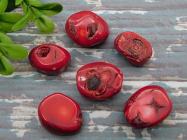 RED CORAL ROCK STONE LAPIDARY SPECIMEN