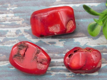 RED CORAL ROCK STONE LAPIDARY SPECIMEN