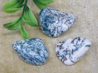 TREE AGATE ROCK STONE LAPIDARY SPECIMEN