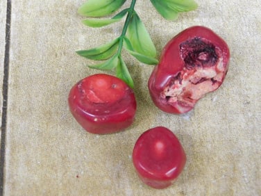 RED CORAL ROCK STONE LAPIDARY SPECIMEN