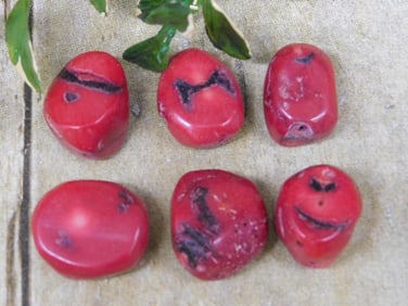 RED CORAL ROCK STONE LAPIDARY SPECIMEN