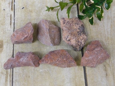 STARBURST JASPER ROCK STONE LAPIDARY SPECIMEN