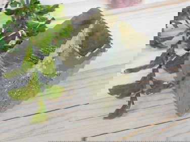 NATURAL FORMATION PYRITE CUBE ROCK STONE LAPIDARY SPECIMEN