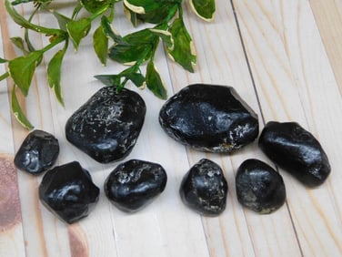 APACHE TEARS ROCK STONE LAPIDARY SPECIMEN