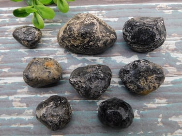 APACHE TEARS ROCK STONE LAPIDARY SPECIMEN