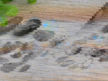 LABRADORITE ROCK STONE LAPIDARY SPECIMEN