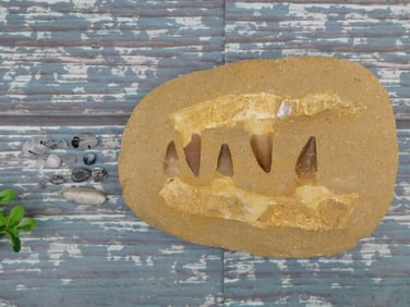 MIXED LOT ROCK STONE LAPIDARY SPECIMEN