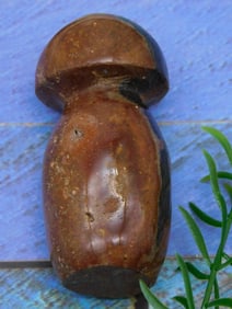 POLYCHROME JASPER MUSHROOM ROCK STONE LAPIDARY SPECIMEN