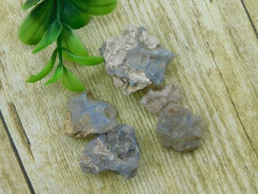 ELLENSBURG AGATE ROCK STONE LAPIDARY SPECIMEN