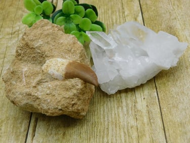 MIXED LOT ROCK STONE LAPIDARY SPECIMEN