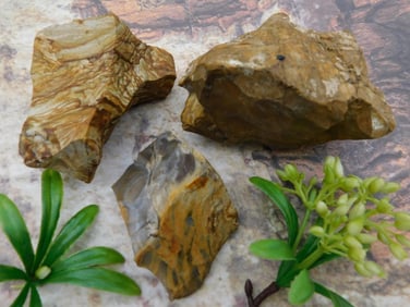 MIXED LOT ROCK STONE LAPIDARY SPECIMEN