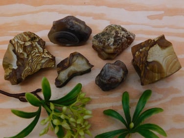 MIXED LOT ROCK STONE LAPIDARY SPECIMEN