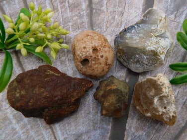 MIXED LOT ROCK STONE LAPIDARY SPECIMEN