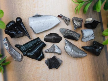 FORDITE MOTOR CITY AGATE ROCK STONE LAPIDARY SPECIMEN