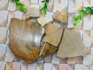 PETRIFIED WOOD SLAB ROCK STONE LAPIDARY SPECIMEN