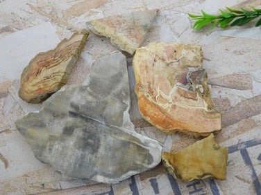 MIXED LOT ROCK STONE LAPIDARY SPECIMEN