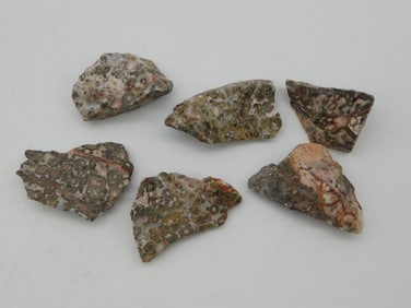 LEOPARD SKIN JASPER ROCK STONE LAPIDARY SPECIMEN