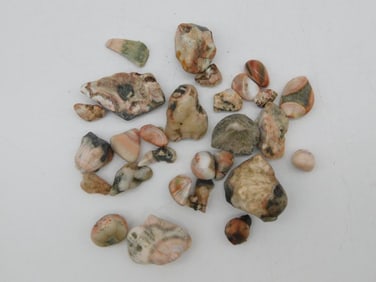 THOMPSONITE ROCK STONE LAPIDARY SPECIMEN