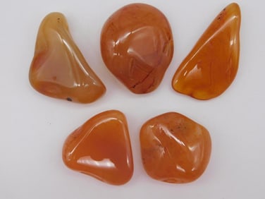 CARNELIAN ROCK STONE LAPIDARY SPECIMEN