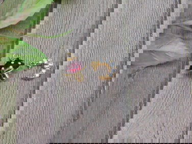 MUSHROOM AND CRESCENT MOON PENDANTS VINTAGE ANTIQUE