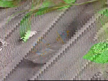 MIXED PENDANT LOT ROCK STONE LAPIDARY SPECIMEN