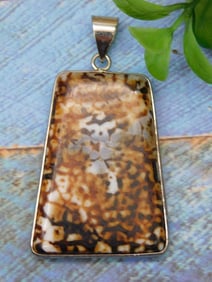 PEANUT WOOD AGATE PENDANT ROCK STONE LAPIDARY SPECIMEN