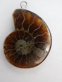 AMMONITE PENDANT ROCK STONE LAPIDARY SPECIMEN