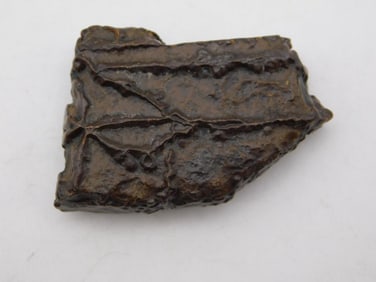 STROMATOLITE ROCK STONE LAPIDARY SPECIMEN