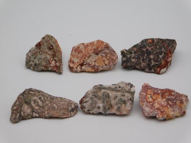 LEOPARD SKIN JASPER ROCK STONE LAPIDARY SPECIMEN