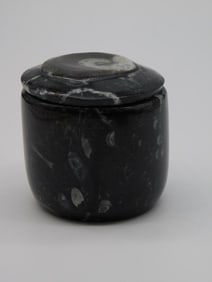 ORTHOCERAS TRINKET BOX ROCK STONE LAPIDARY SPECIMEN