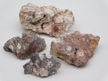 RHYOLITE ROCK STONE LAPIDARY SPECIMEN