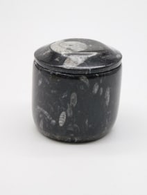 ORTHOCERAS TRINKET BOX ROCK STONE LAPIDARY SPECIMEN