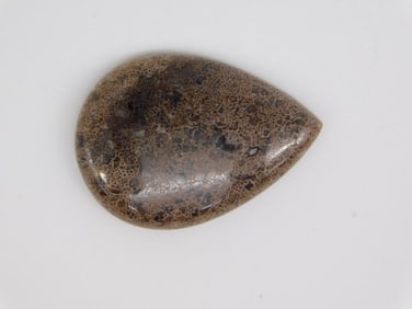 DINOSAUR BONE CABOCHON ROCK STONE LAPIDARY SPECIMEN