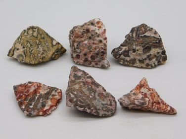 LEOPARD SKIN JASPER ROCK STONE LAPIDARY SPECIMEN