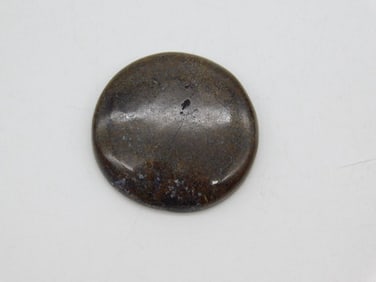 DINOSAUR BONE CABOCHON ROCK STONE LAPIDARY SPECIMEN