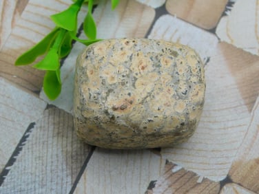 LEOPARD PRINT JASPER ROCK STONE LAPIDARY SPECIMEN